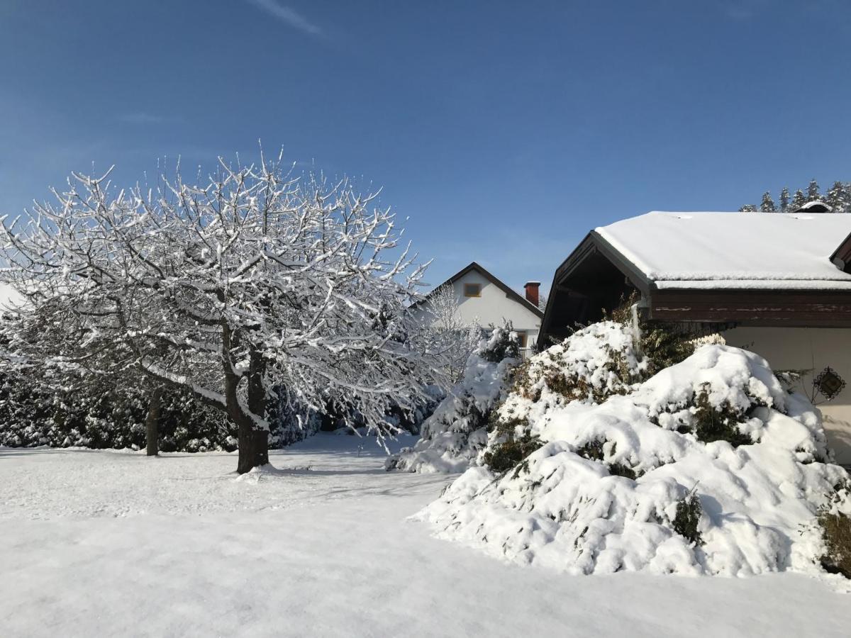 V Gemuetliches Gartenhaus Smihel nad Pliberkom Dış mekan fotoğraf
